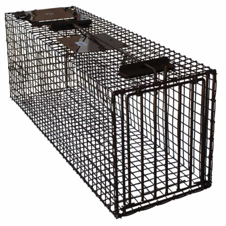 Cage Traps